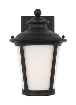 Cape May One Light Outdoor Wall Lantern in Black (1|88240EN3-12)