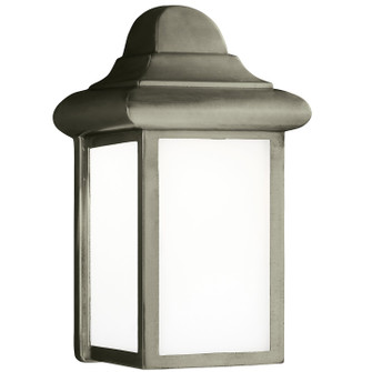 Mullberry Hill One Light Outdoor Wall Lantern in Pewter (1|8788-155)