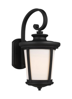 Eddington One Light Outdoor Wall Lantern in Black (1|8719301-12)