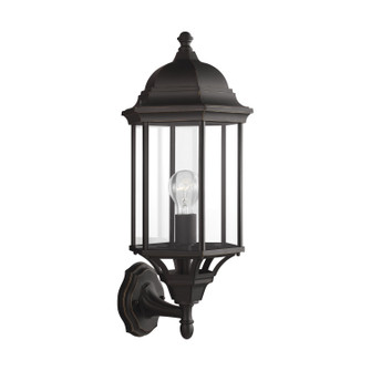 Sevier One Light Outdoor Wall Lantern in Antique Bronze (1|8638701-71)