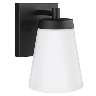 Renville One Light Outdoor Wall Lantern in Black (1|8638601-12)