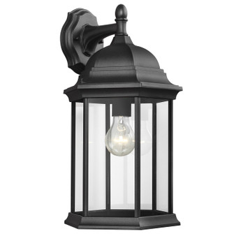 Sevier One Light Outdoor Wall Lantern in Black (1|8438701-12)