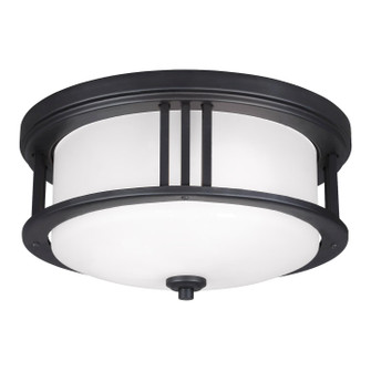 Crowell Two Light Outdoor Flush Mount in Black (1|7847902EN3-12)