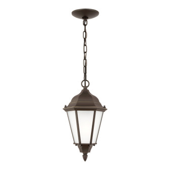 Bakersville One Light Outdoor Pendant in Antique Bronze (1|60941EN3-71)
