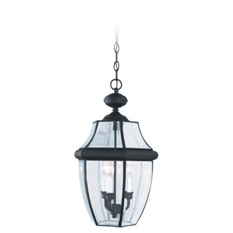 Lancaster Three Light Outdoor Pendant in Black (1|6039-12)