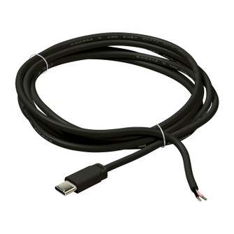 Disk Lighting Power Cord in Black (1|984172S-12)