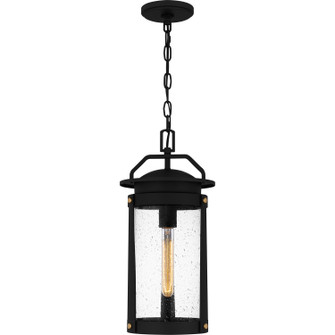 Clifton One Light Outdoor Hanging Lantern in Earth Black (10|CLI1909EK)