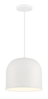 Vantage Pendants One Light Hanging Lantern in White (7|6202-44)