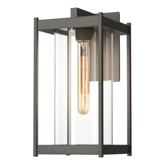 Cela One Light Outdoor Wall Sconce in Coastal Natural Iron (39|302023-SKT-20-ZM0731)