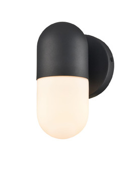 Capsule Outdoor One Light Wall Sconce in Black With Half Opal Glass (214|DVP13771BK-OP)