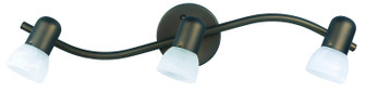 Three Light Lantern in Oil Rubbed Bronze (387|IT9313)