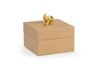 Pam Cain Box in Tan/Gold (460|384880)