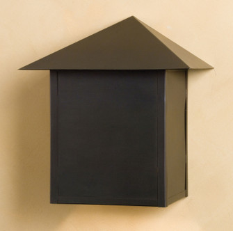 Dark Sky One Light Wall Sconce in Craftsman (57|49957)