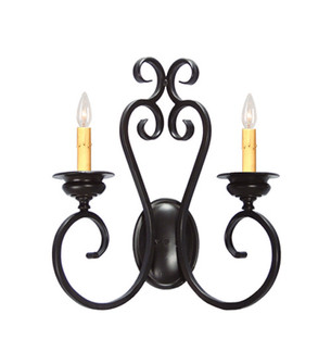 Fernando One Light Wall Sconce in Blackwash (57|117530)