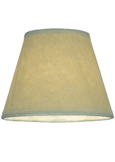 Aged Celadon Shade in Antique Copper (57|116558)