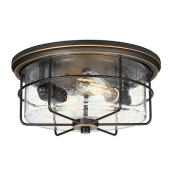 Rosella Two Light Flush Mount in Black-Bronze With Highlights (88|6121800)
