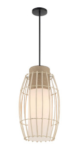 Watermill One Light Pendant in Coal (7|1104-66A)