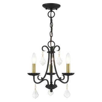 Daphne Three Light Mini Chandelier in Black with Antique Brass (107|40873-04)