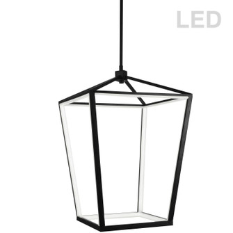 Cage LED Pendant in Black (216|CAG-2664C-MB)