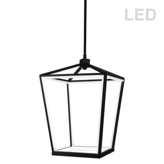 Cage LED Pendant in Black (216|CAG-2046C-MB)