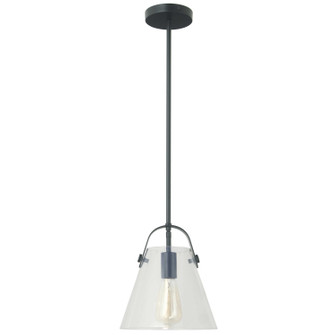 Polly One Light Pendant in Clear (216|871-91P-MB)