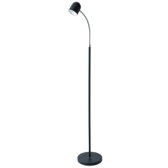 LED Floor Lamp in Black (216|123LEDF-BK)