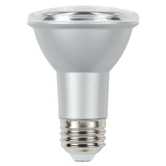 Light Bulb in Clear (88|5301200)