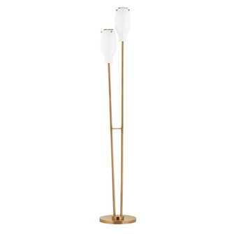 Geyser Two Light Floor Lamp in Patina Brass (67|PFL1668-PBR)
