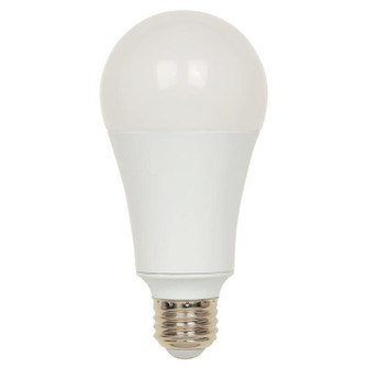 Light Bulb in Soft White (88|5170000)