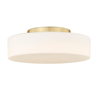 Toli LED Flush Mount in Brushed Champagne Brass (62|3136-FM BCB-OP)