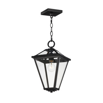 Prism One Light Pendant in Black (16|30569CLBK)