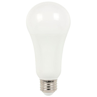 Light Bulb in Soft White (88|5117000)