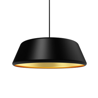 Pillbox 20'' Pendant in Gold (326|SP-PBX-SO-20-BG-NAK-E26-SP5)