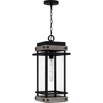 Strader One Light Outdoor Hanging Lantern in Matte Black (10|SAD1909MBK)