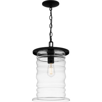 Noland One Light Outdoor Hanging Lantern in Matte Black (10|NAD1910MBK)