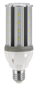 Light Bulb in Clear (230|S9753)