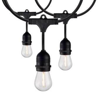 LED String Light in Black (230|S8037)