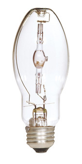 Light Bulb in Clear (230|S4379)