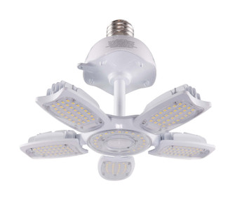 Light Bulb in Clear (230|S39769)