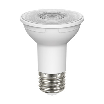 Light Bulb in Clear (230|S22210)