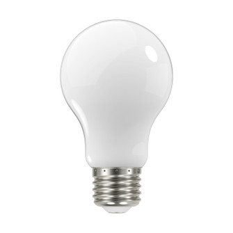 Light Bulb in Soft White (230|S12419)
