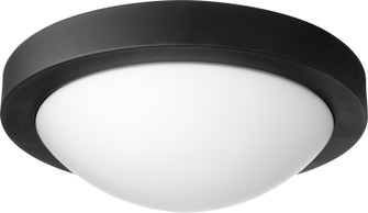 3505 Contempo Ceiling Mounts Two Light Wall Mount in Textured Black (19|3505-13-69)