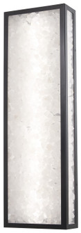 Salt Creek LED Outdoor Wall Sconce in Coal (7|8173-66A-L)
