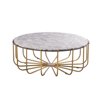 Demille Coffee Table in Satin Brass (45|H0805-11453)