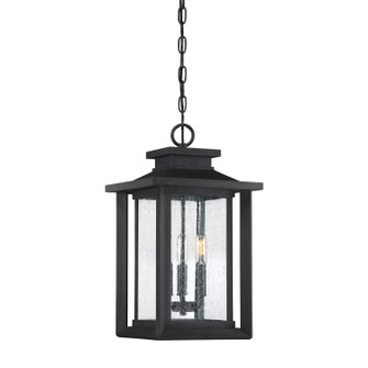 Wakefield Three Light Outdoor Hanging Lantern in Earth Black (10|WKF1911EK)