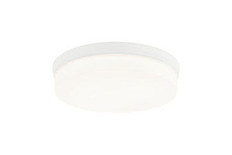 Circian LED Flush Mount in White (423|M10902WH)