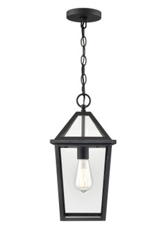 Eston One Light Outdoor Hanging Lantern in Textured Black (59|91401-TBK)