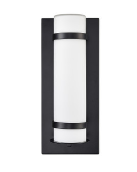 LED Outdoor Wall Sconce in Powder Coated Black (59|77001-PBK)