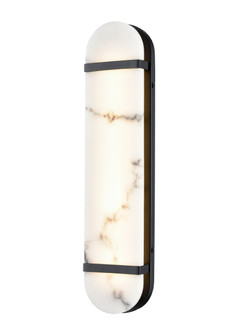 Jasper LED Vanity in Ebony (214|DVP49743EB-GFA)