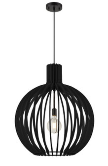 Nahanni Park One Light Pendant in Black With Black Wood Shade (214|DVP42610BK-BW)